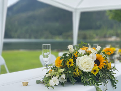 Montana Wedding DJs